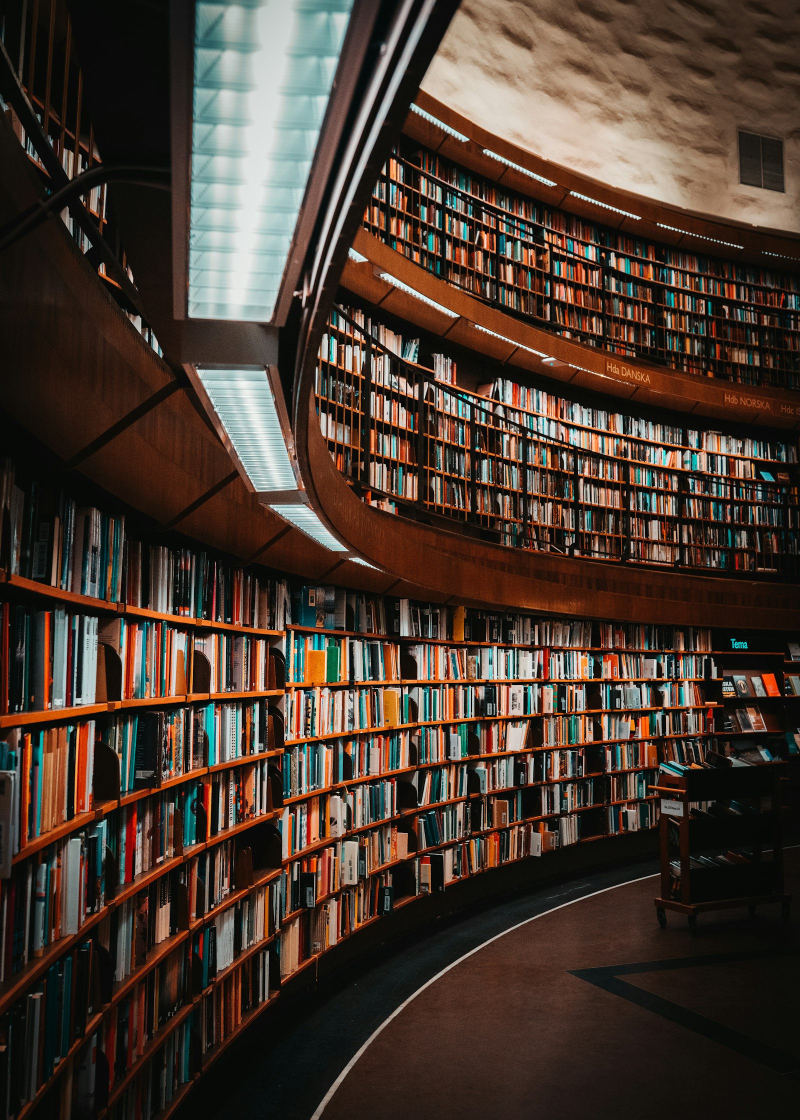 Certificat Senghor — Conseil scientifique aux décideurs