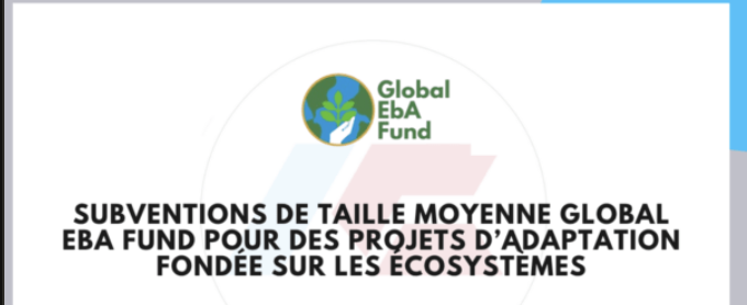 Subventions de taille moyenne Global EbA Fund 2026 : jusqu'à 500 000 USD pour des projets d'adaptation fondée sur les écosystèmes