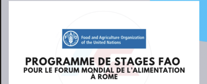 Programme de stages FAO 2026 pour le Forum mondial de l'alimentation à Rome