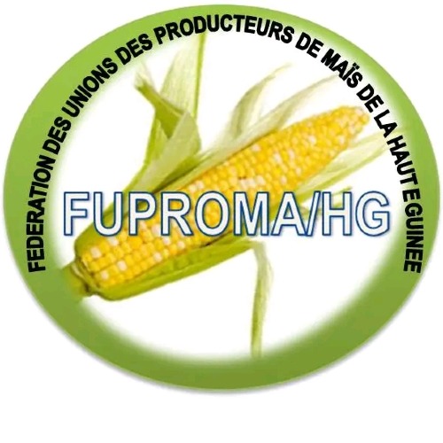 Fédération des Unions des Producteurs de Maïs de la Haute Guinée.
